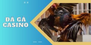 da-ga-casino