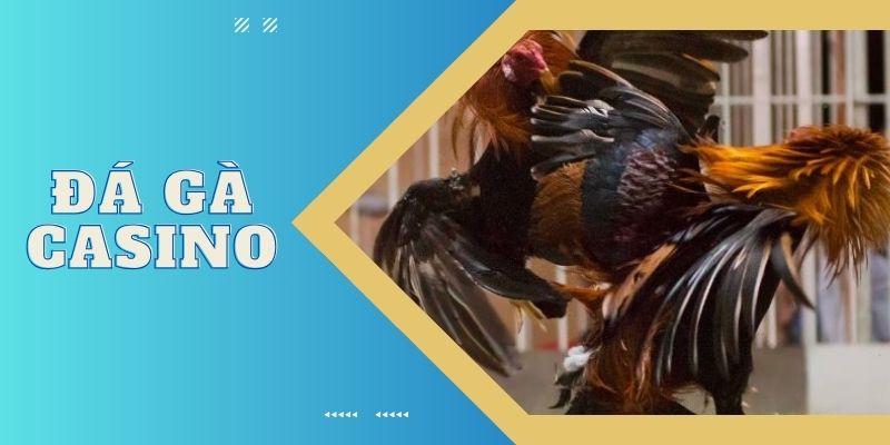 da-ga-casino