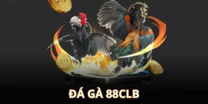 da-ga-choi-88clb-avt