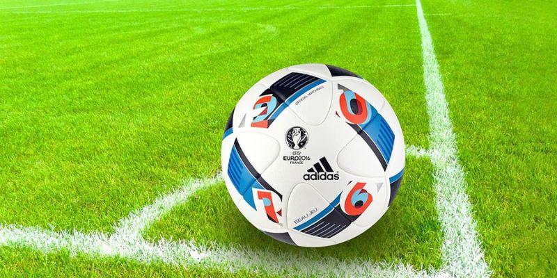 Lợi ích của việc tham gia kèo rung là gì hiện nay