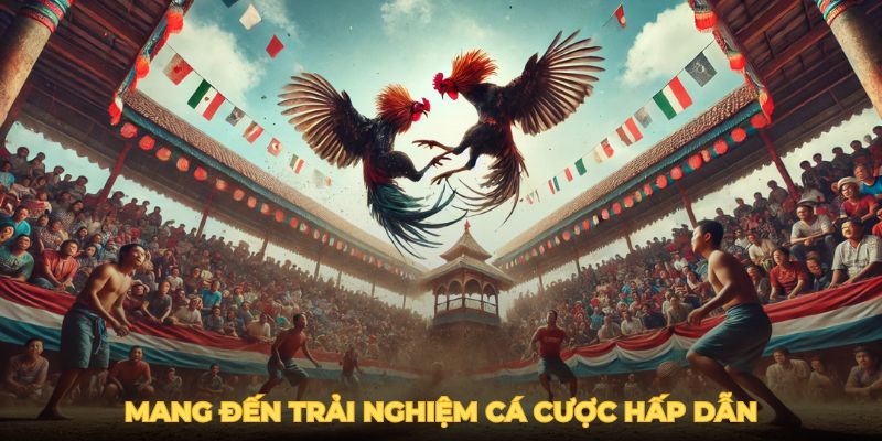 Nền tảng mang đến trải nghiệm cá cược hấp dẫn và đầy mới lạ